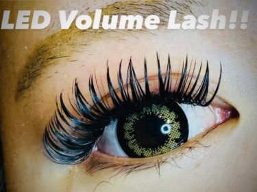 LEDボリュームラッシュ！